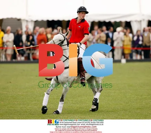 Prince William and Harry play polo