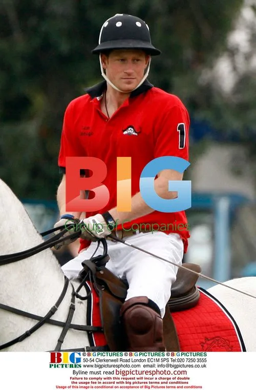 Prince William and Harry play polo