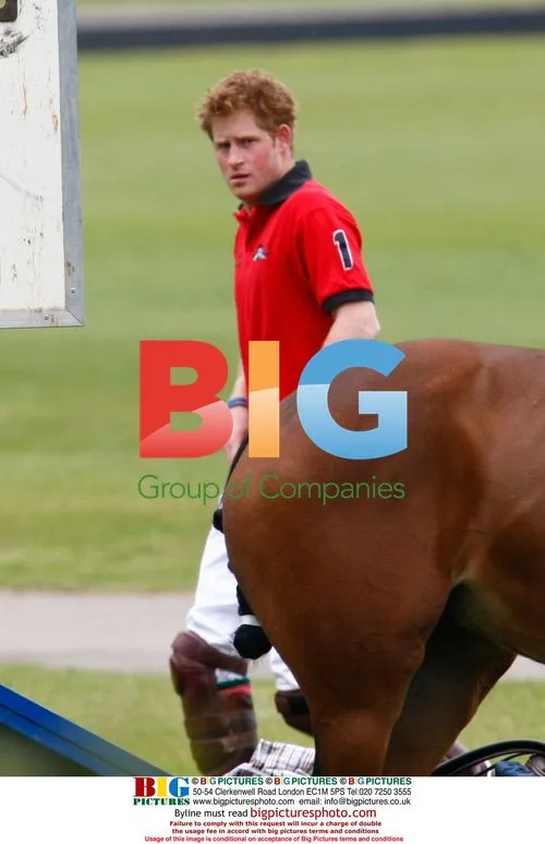 Prince William and Harry play polo