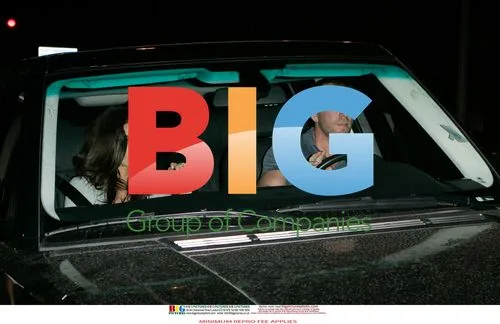 Guy Ritchie and Jasmine Waltz Dinner Date