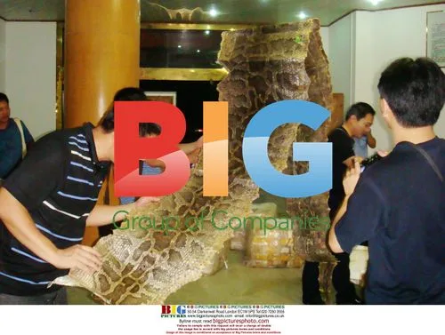 Police Bust Smugglers in China
