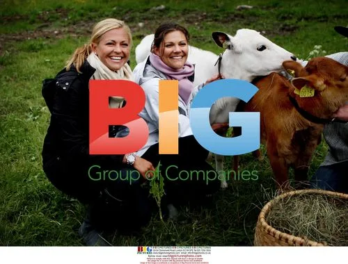 Crown Princess Victoria and Princess Madeleine visit calves