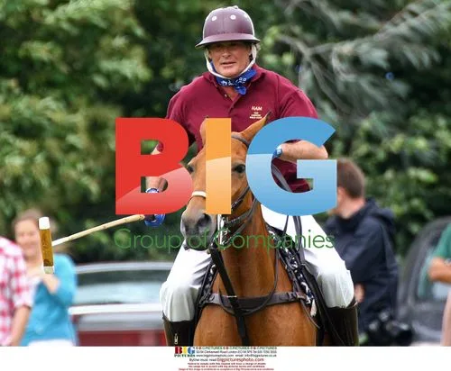 The Hoff Learns Polo in Richmond