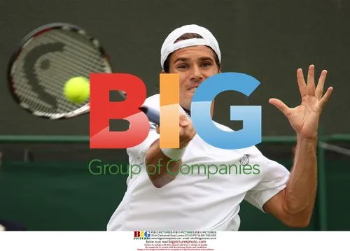 Tommy Haas at Wimbledon 2009