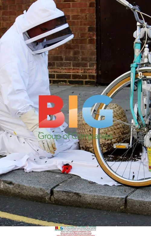 Bees swarm Kensington street in London