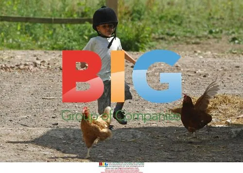 Katie Price and kids enjoy day at the stables