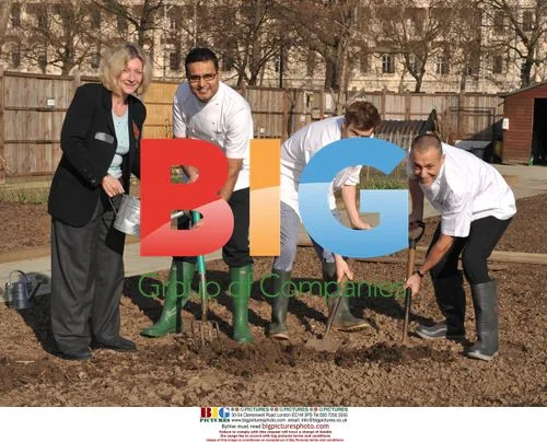 Taste of London chefs plant seeds
