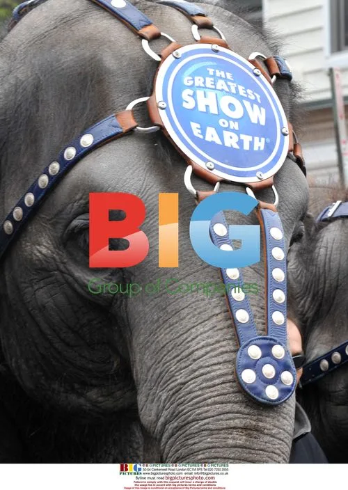 Elephants on Parade in Washington DC