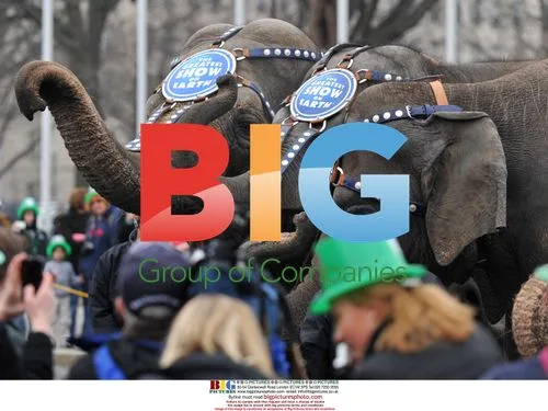 Elephants parade through Capitol Hill on St. Patrick's Day