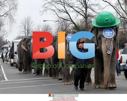 Circus Elephants on Capitol Hill in Washington DC