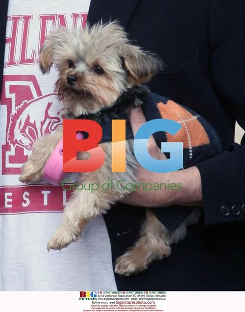 Jay Mohr takes dog for walk in NYC