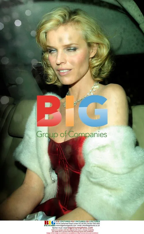 Eva Herzigova at Moet and Chandon Party