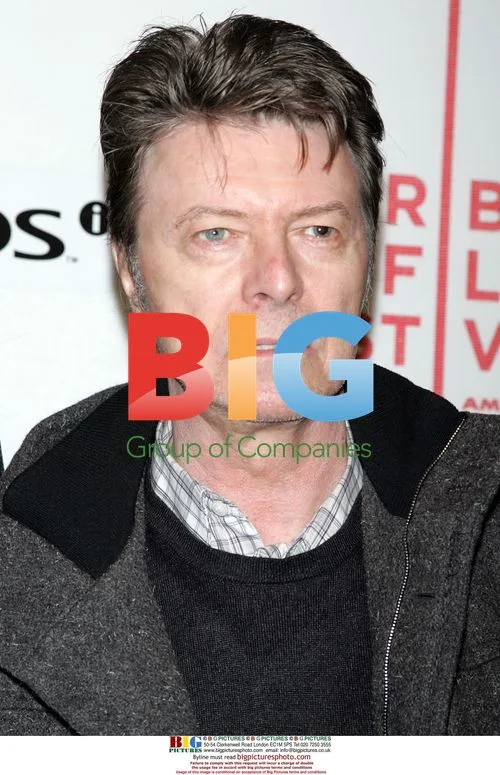 David Bowie at 'Moon' Premiere in NYC