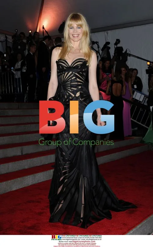 Met Gala 2009: Claudia Schiffer