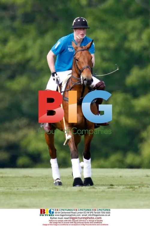 Prince William and Harry play polo