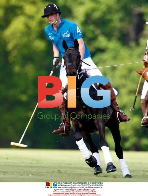 Prince William and Harry Polo Match