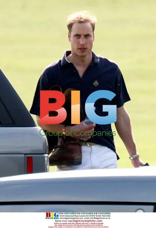 Prince William and Harry play polo
