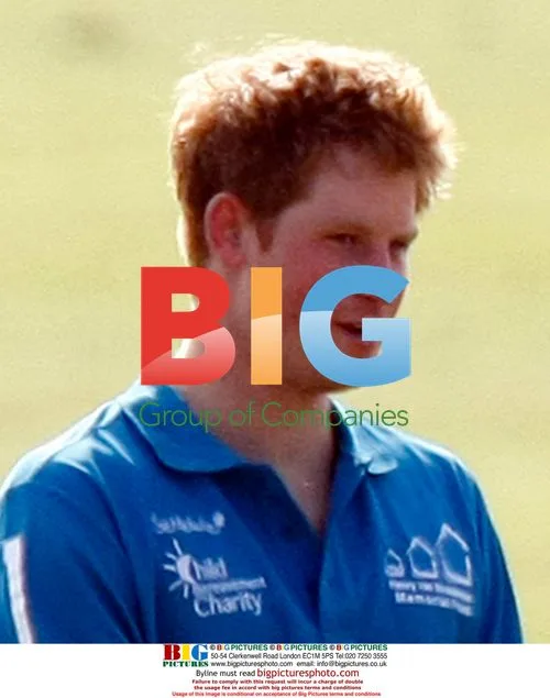 Princes William and Harry at Polo Event