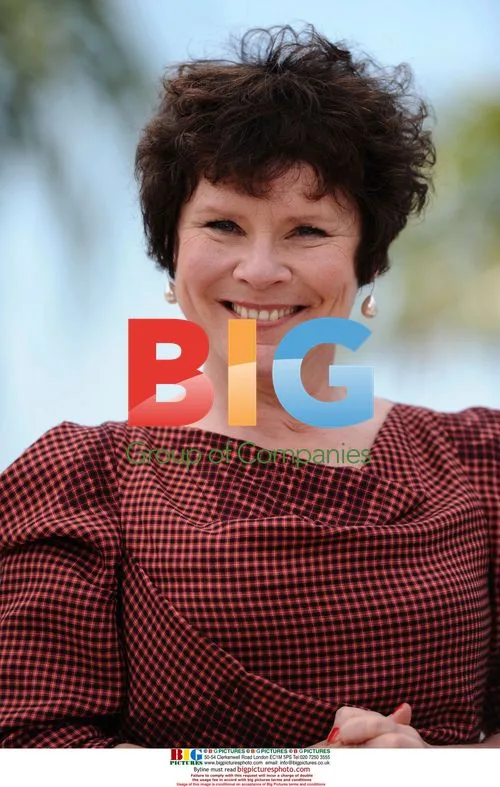 Imelda Staunton at "Taking Woodstock" Photocall