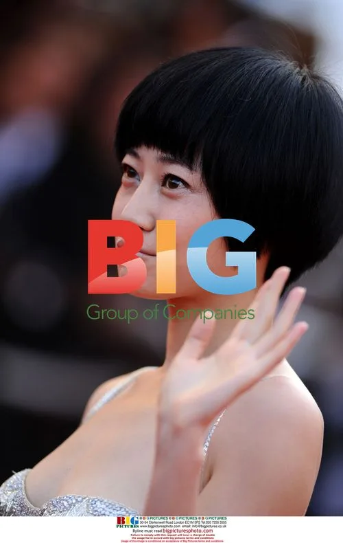 Tan Zhuo at Cannes "Vengeance" Premiere