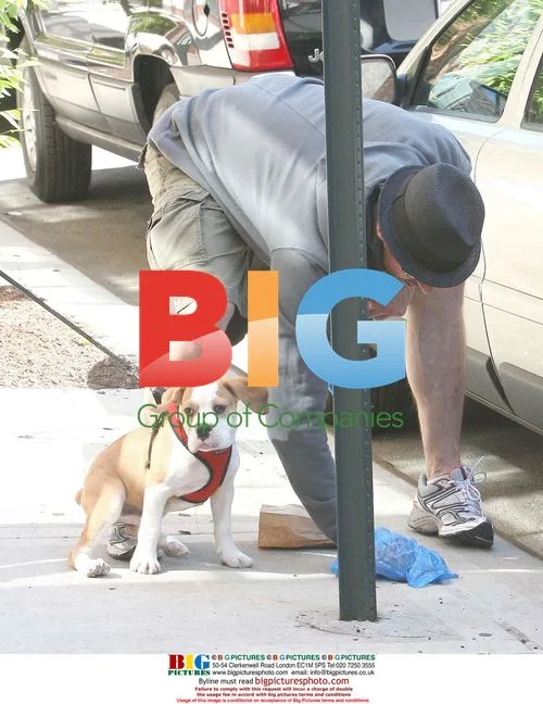 Hugh Jackman Walks His Dog in NYC