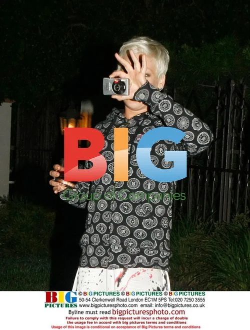 Pink and Carey Hart Spotted After Reconciling