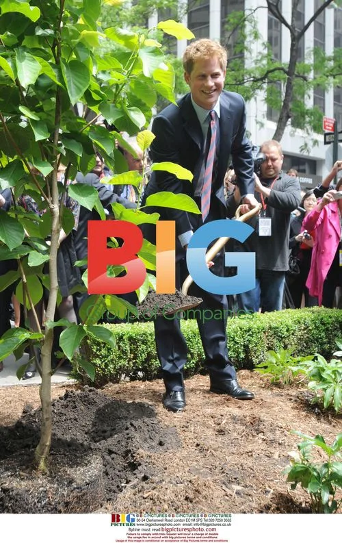 Prince Harry Visits British Memorial Garden