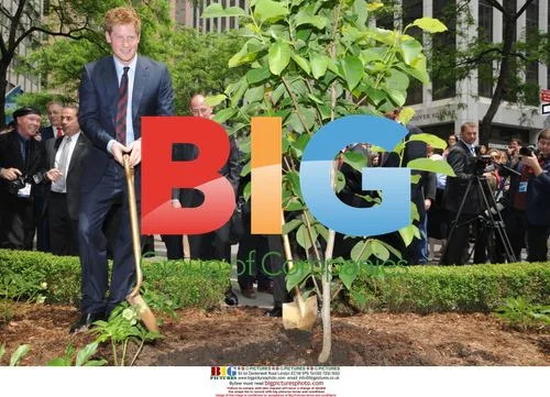 Prince Harry at British Memorial Garden in NYC