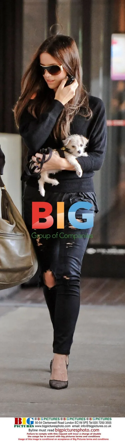 Kate Beckingsale visits doctor with puppy