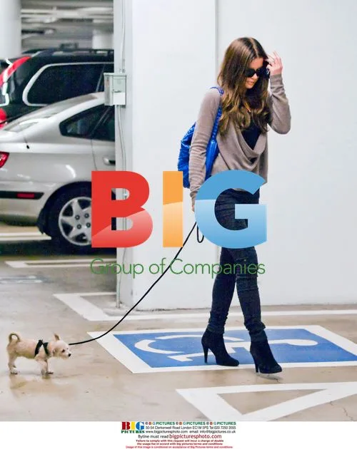 Kate Beckinsale with Puppy at Health Clinic