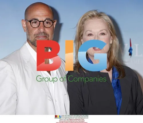 Stanley Tucci and Meryl Streep at "Julie & Julia" photocall
