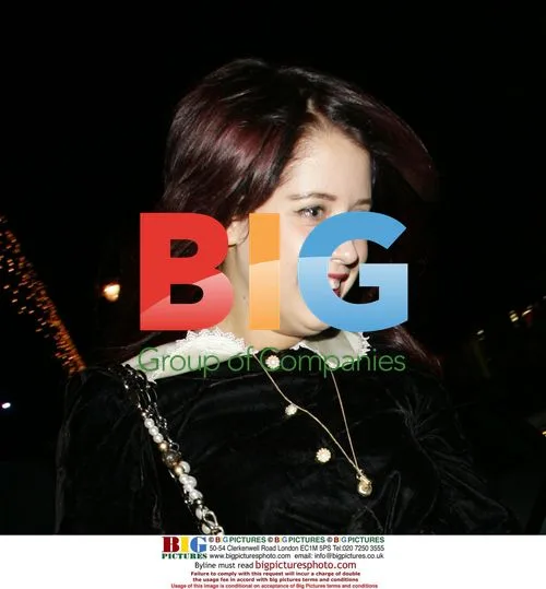 Peaches Geldof Returning to Hotel with Gossip Band Member