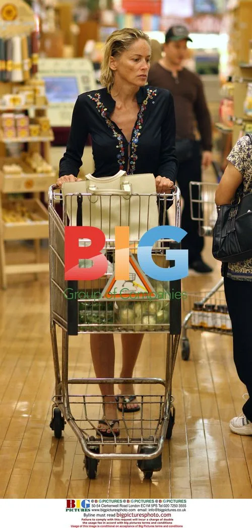 Sharon Stone Grocery Shopping with Brother