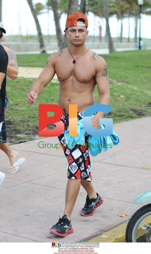 Jersey Shore Cast on Miami Beach