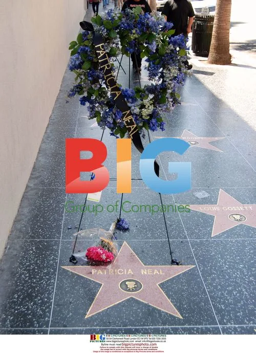 Patricia Neal's Star on Walk of Fame