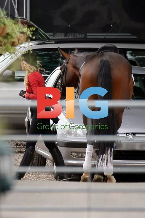 Abigail Clancy Horse Riding