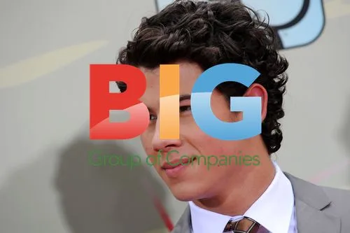 Nick Jonas at 'Camp Rock 2' Premiere