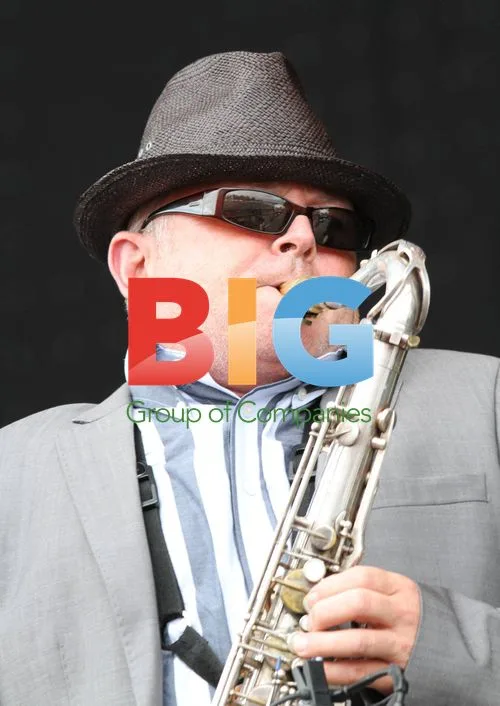 Madness on stage at V Festival