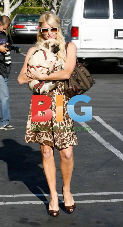 Paris Hilton shops in West Hollywood
