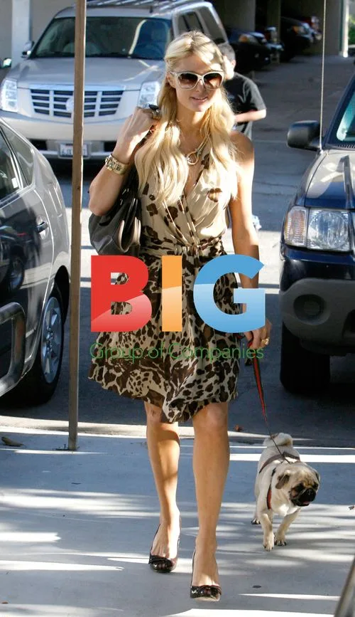 Paris Hilton Shopping in West Hollywood