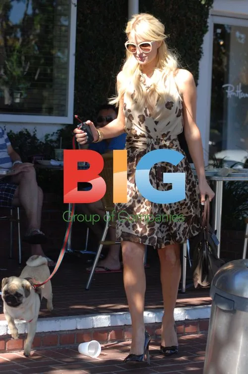 Paris Hilton Shopping at Fred Segal