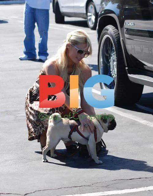 Paris Hilton Shops at Fred Segal