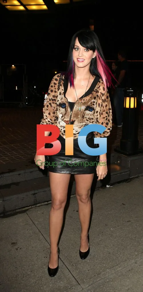 Katy Perry's Eclectic Outfit