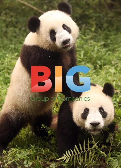 Giant pandas at Chengdu Panda Base