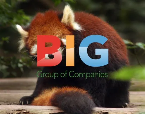 Red pandas at Chengdu Panda Breeding Base