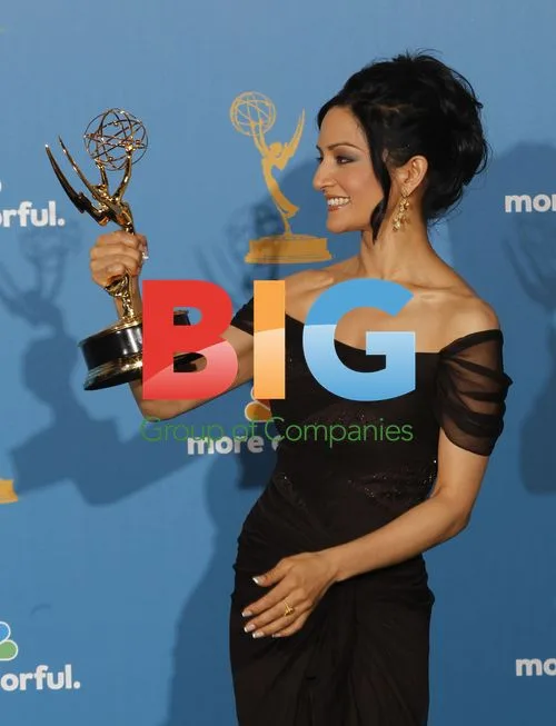 Archie Panjabi Wins Emmy
