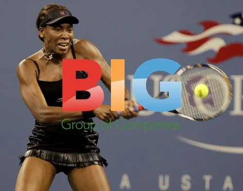 Venus Williams vs Roberta Vinci at 2010 US Open