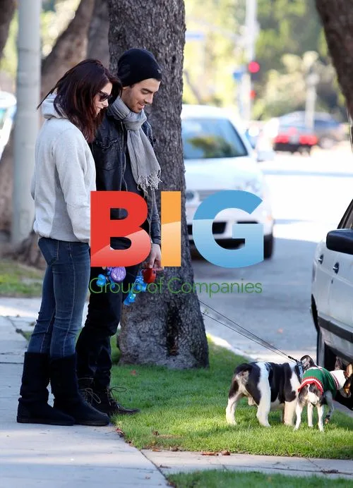 Ashley Greene and Joe Jonas Walk Dogs