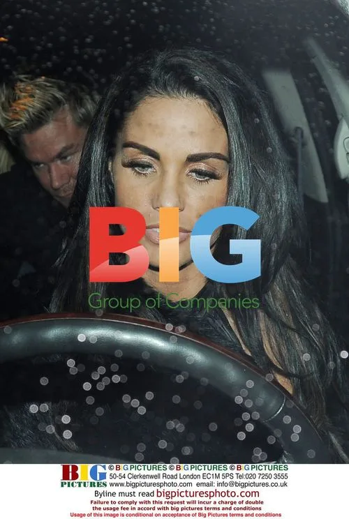 Katie Price Driving Disqualification