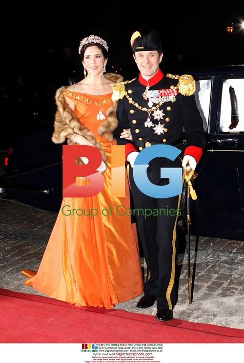 Danish Royals at New Year Reception